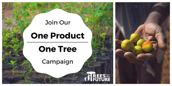 One Product - One Tree: How Do Your Purchases Help?