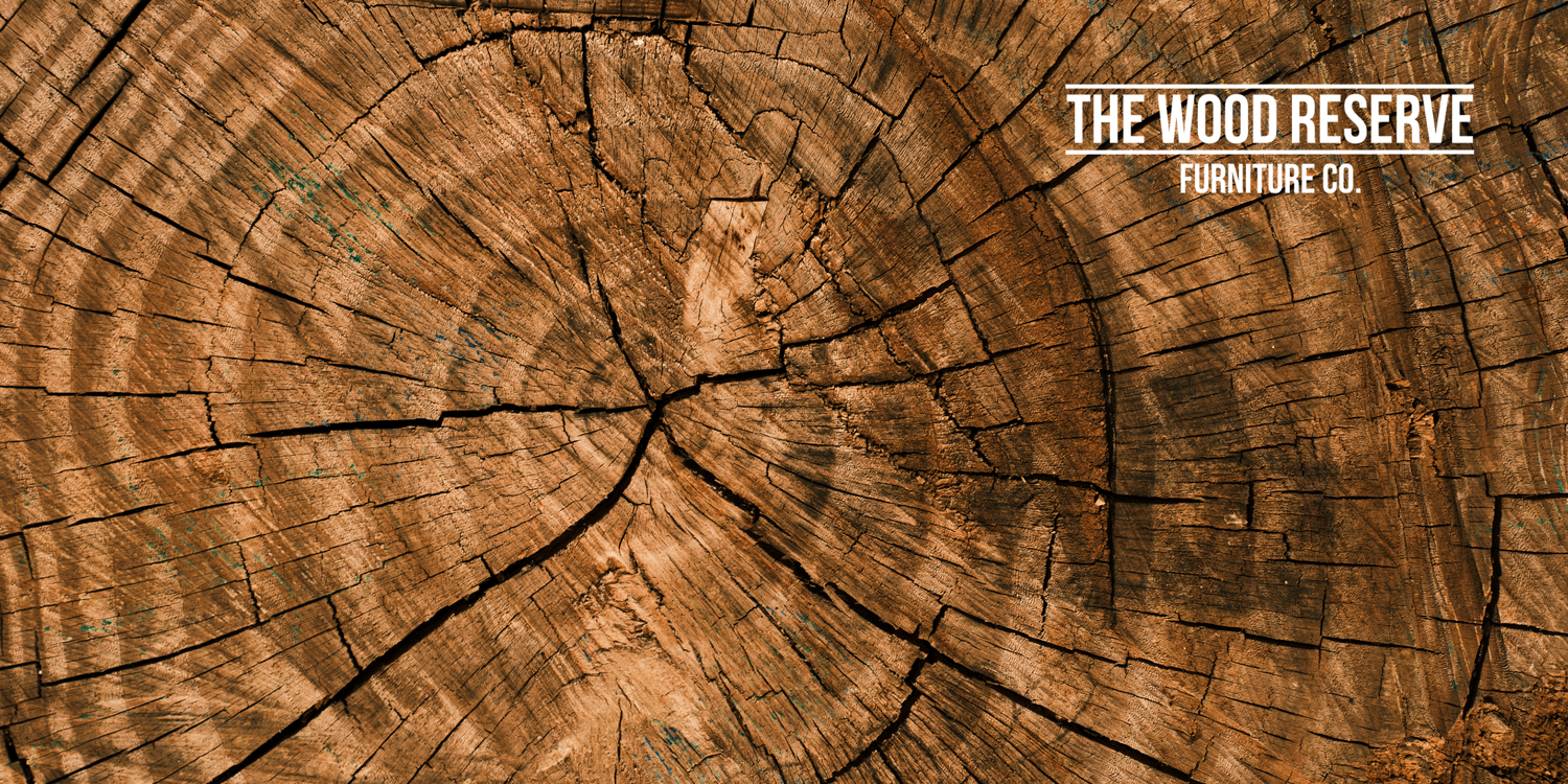 The Secret Life of a Tree Ring: What Your Furniture Can Tell You About the Past