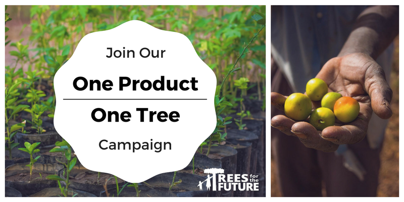 One Product - One Tree: How Do Your Purchases Help at The Wood Reserve